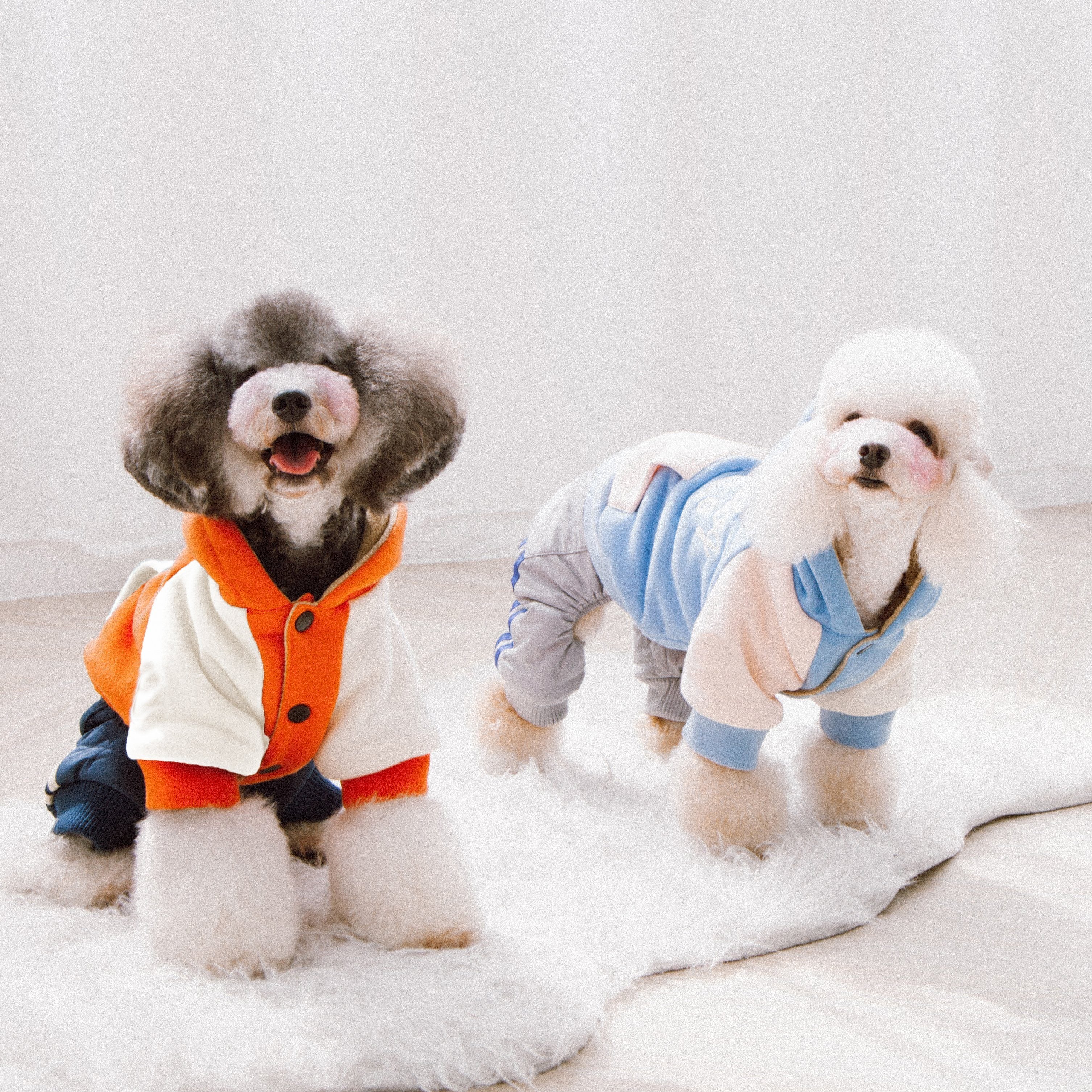Dogs modeling orange and blue dog hoodie sweaters with contrast sleeves and hoodies.