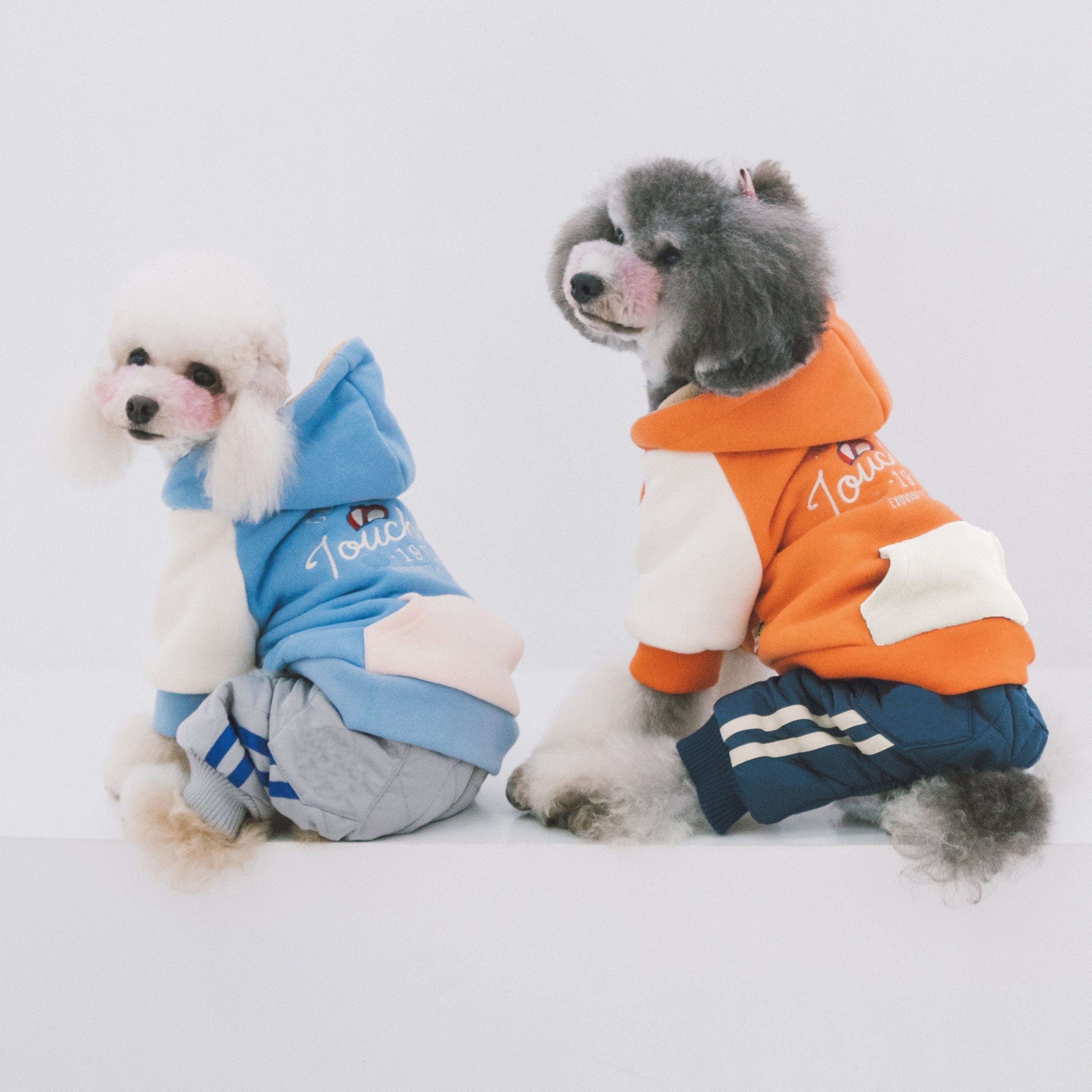 Dogs wearing Touchdog-style hoodies: orange and blue soft-cotton sweaters, side view.