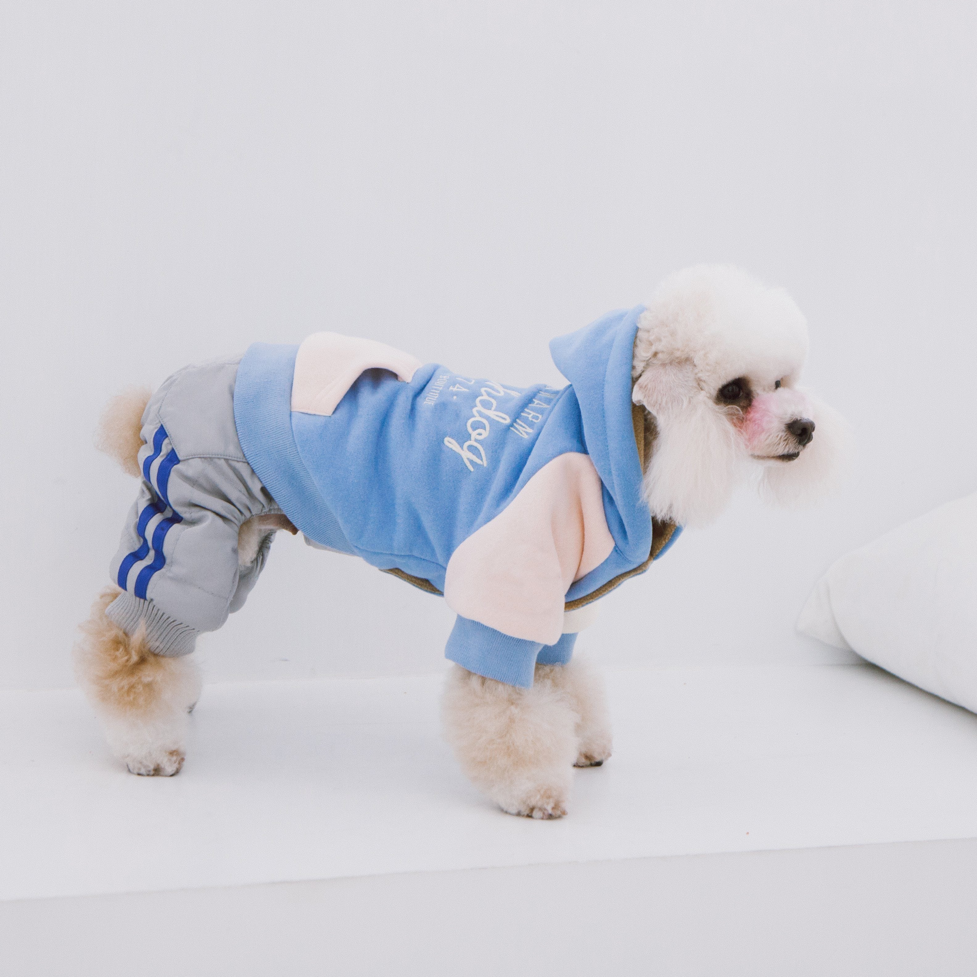 Blue soft-cotton dog hoodie sweater with hood and white sleeve panels, standing pose.