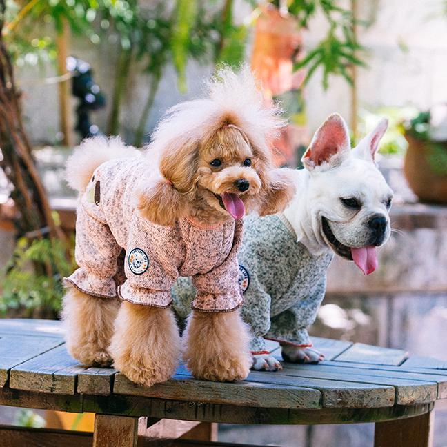 Two small dogs wearing quilted full-body hooded sweaters—one pink/white, one grey/navy
