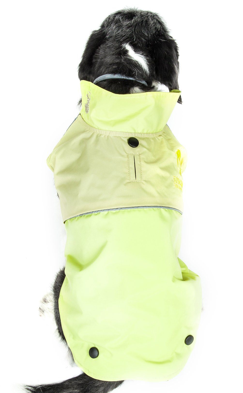 Light green waterproof dog jacket with raised collar and snap button front