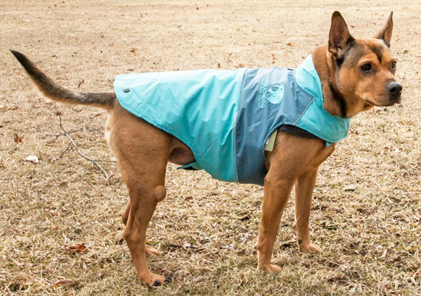 Light blue waterproof dog jacket with front flap and hood