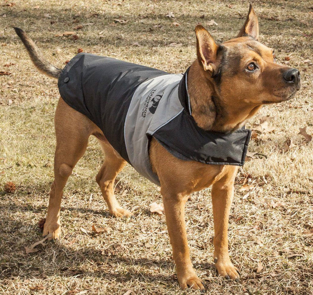Dark gray waterproof dog jacket with hood, front flap, and logo patch