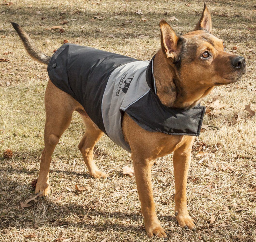 Dark gray waterproof dog jacket with hood, front flap, and logo patch