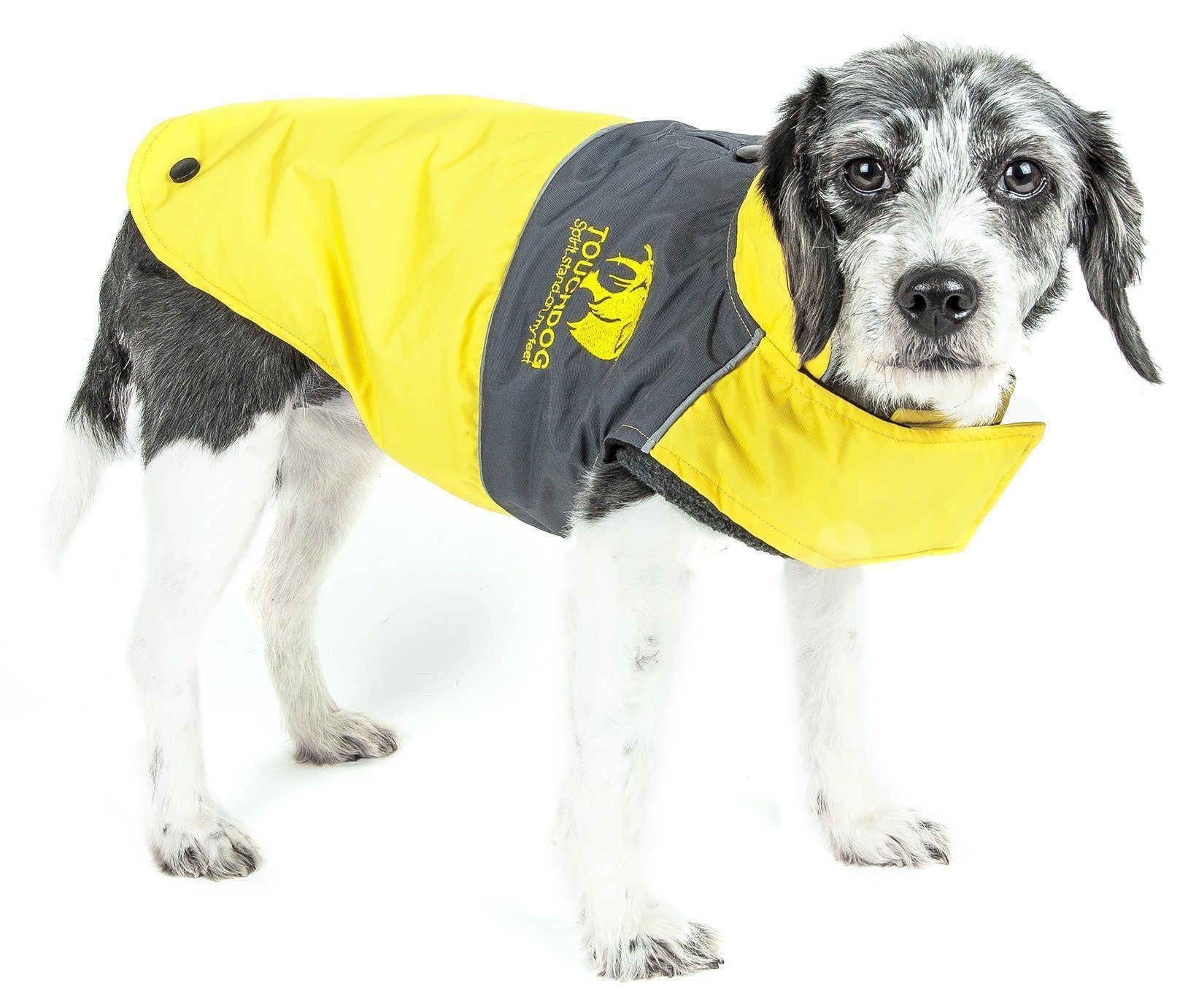 Waterproof dog jacket with bright yellow outer layer and dark gray chest panel, hooded