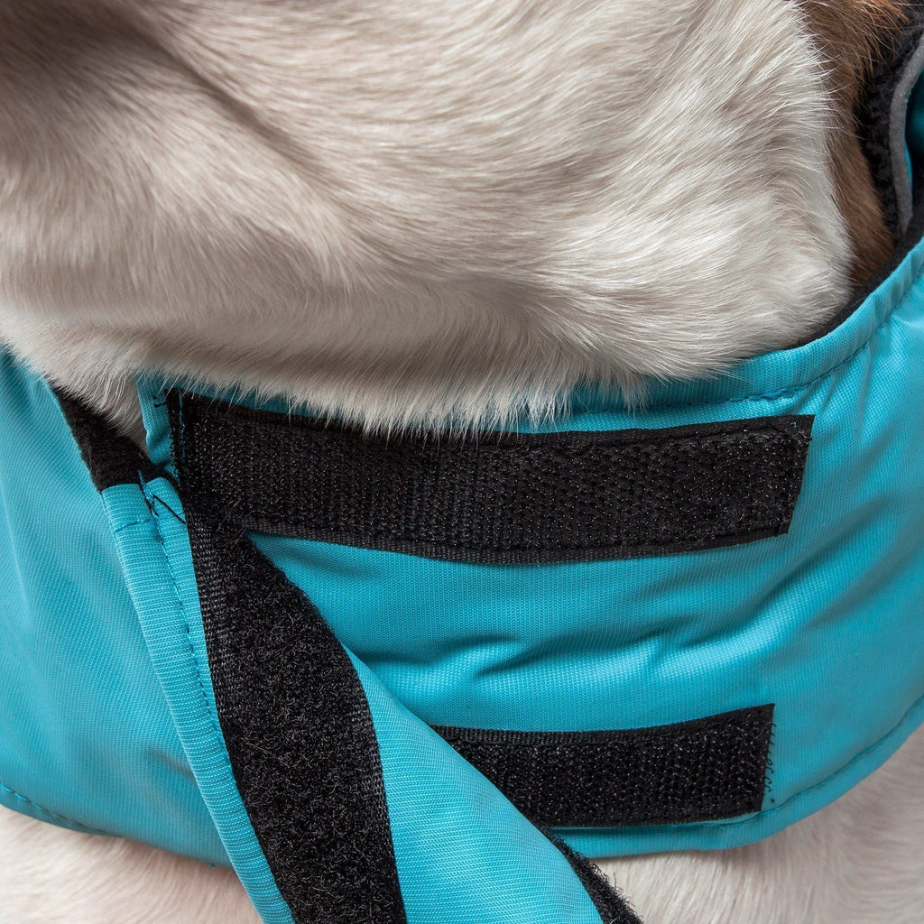 Turquoise blue waterproof dog jacket with black adjustable strap panels