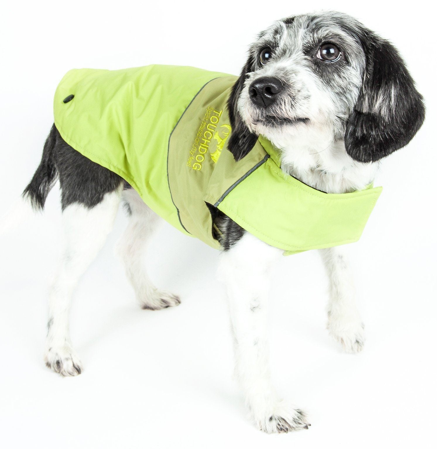 Neon green waterproof dog jacket with darker green hood panel and front logo