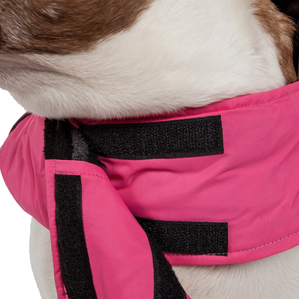 Pink waterproof dog jacket with black adjustable strap panels near the neck