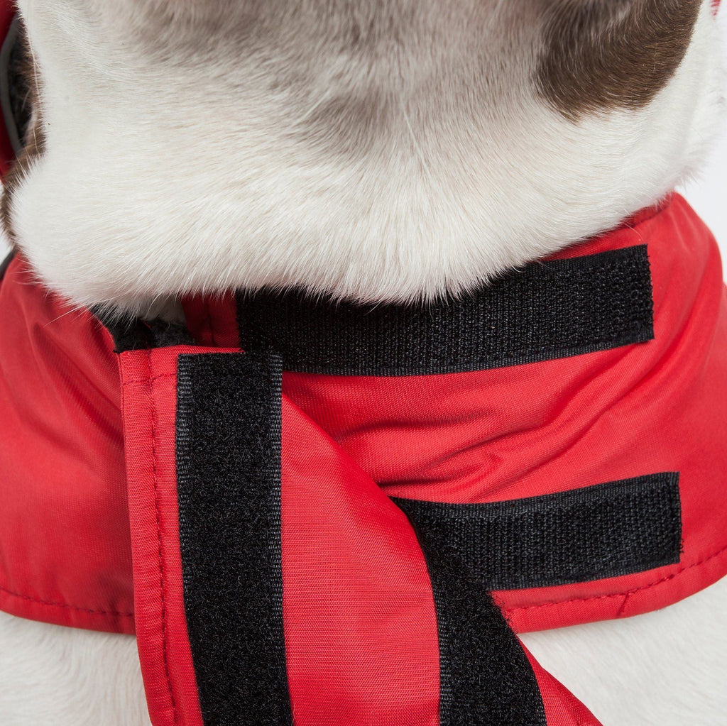Red waterproof dog jacket with black adjustable strap panels and fleece lining