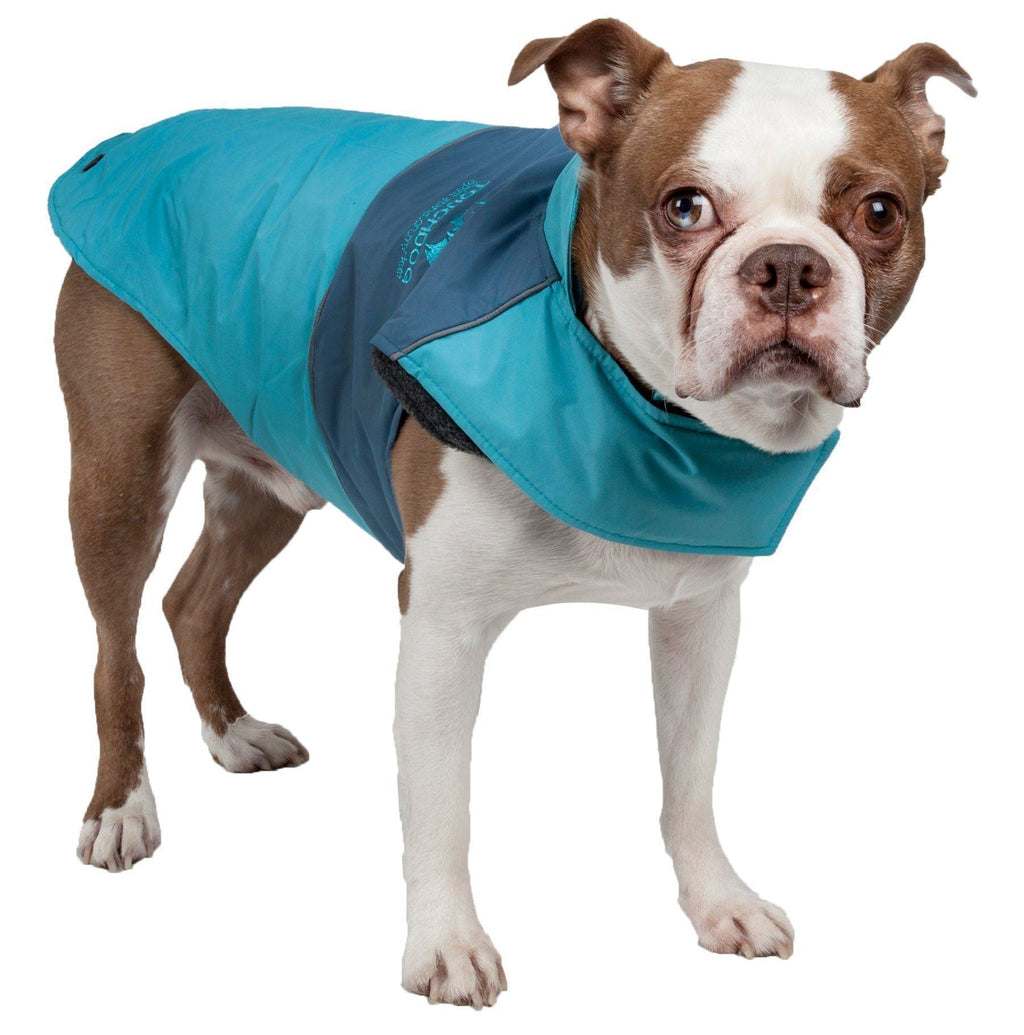 Turquoise waterproof dog jacket with dark blue accents and hood opening