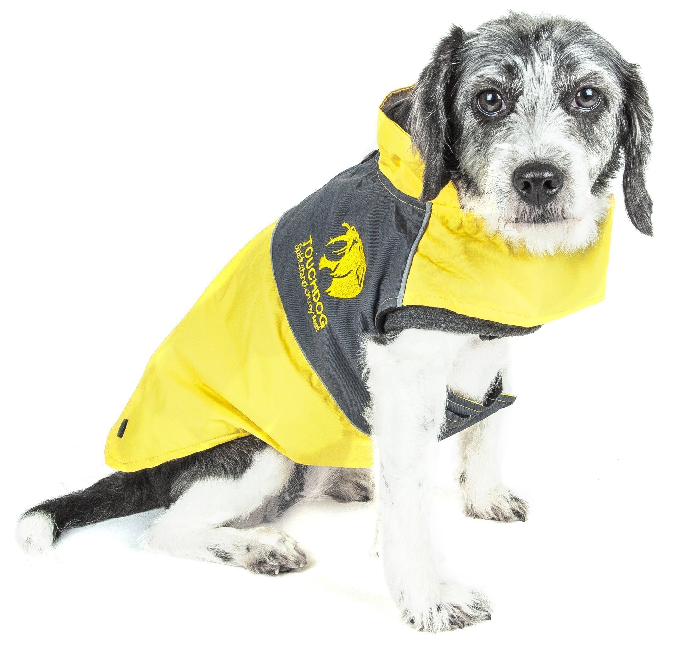 Yellow waterproof dog jacket with dark gray paneling and hood opening