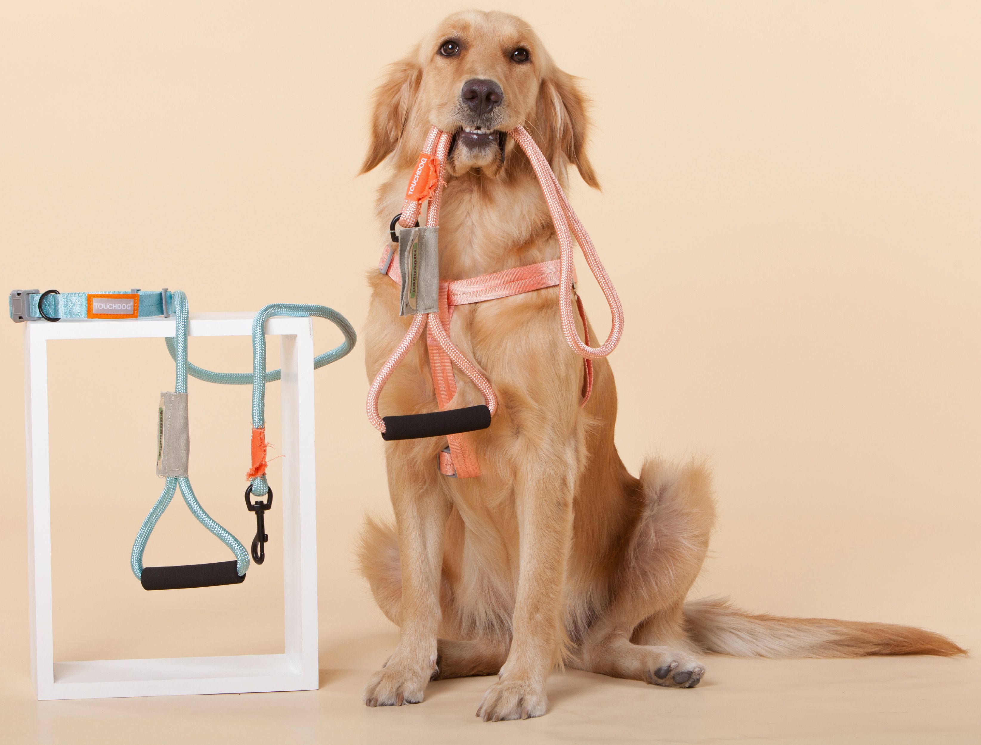 Light blue dog harness and leash set with black handle, on a standing golden retriever