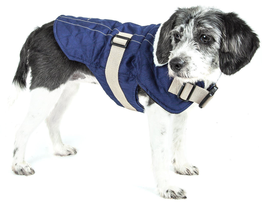 Royal blue dog winter coat with tan trim, fleece lining, and adjustable buckles