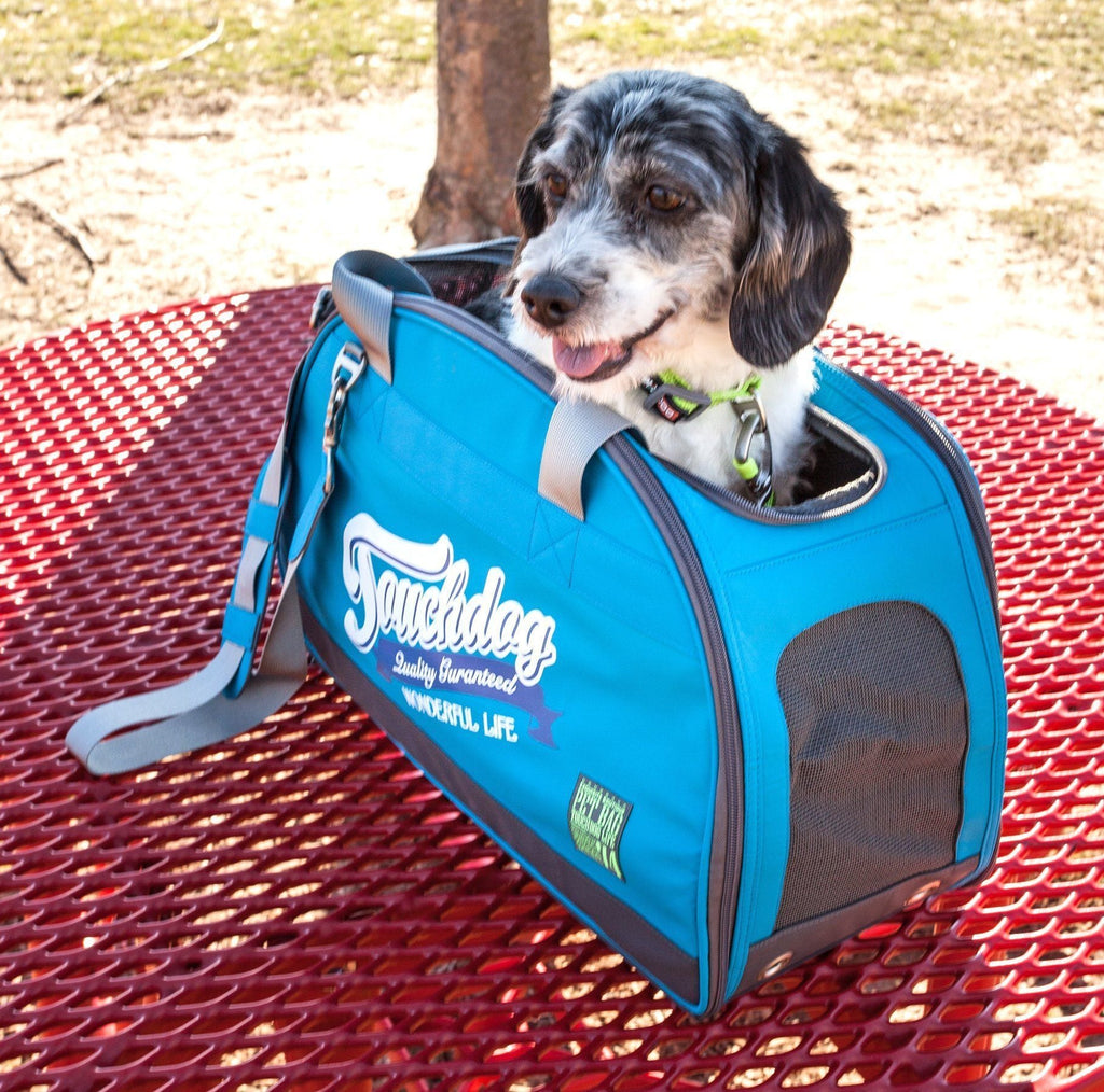 Blue airline pet carrier with gray mesh panel, front logo, zip closure