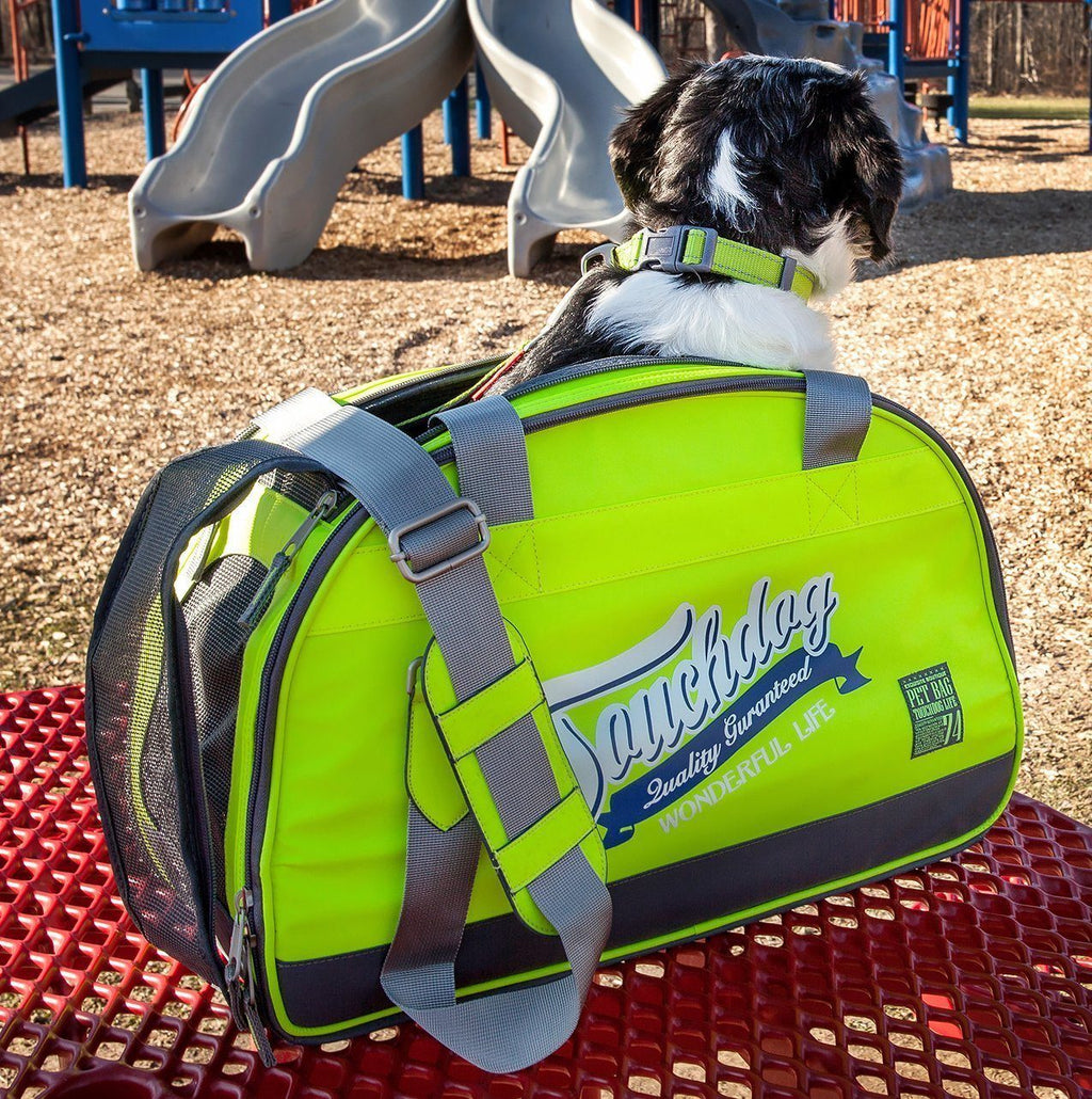 Green airline pet carrier with gray straps and logo graphic, zip-front design