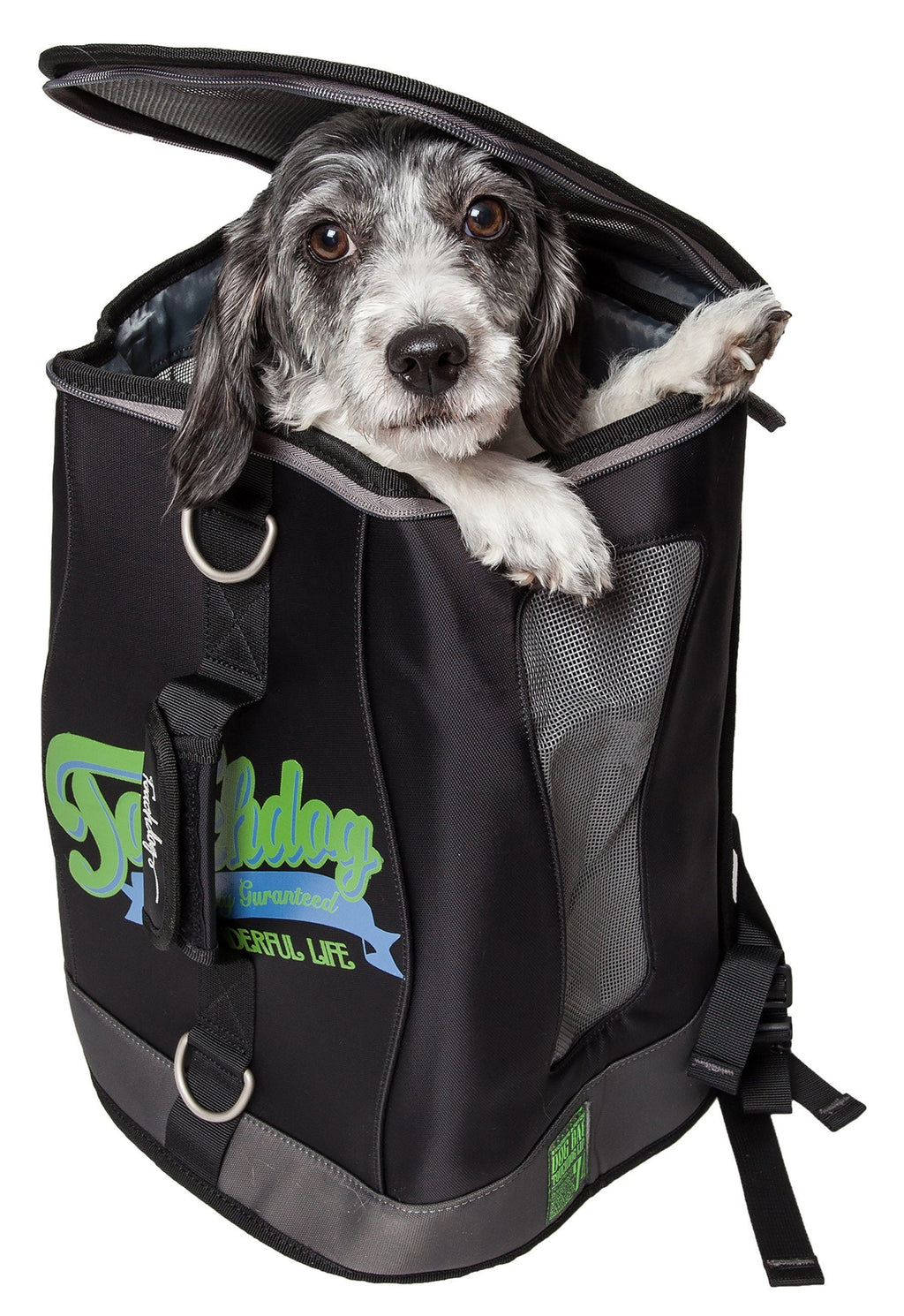 Black dog carrier backpack with mesh side opening, dog resting inside, adjustable front straps