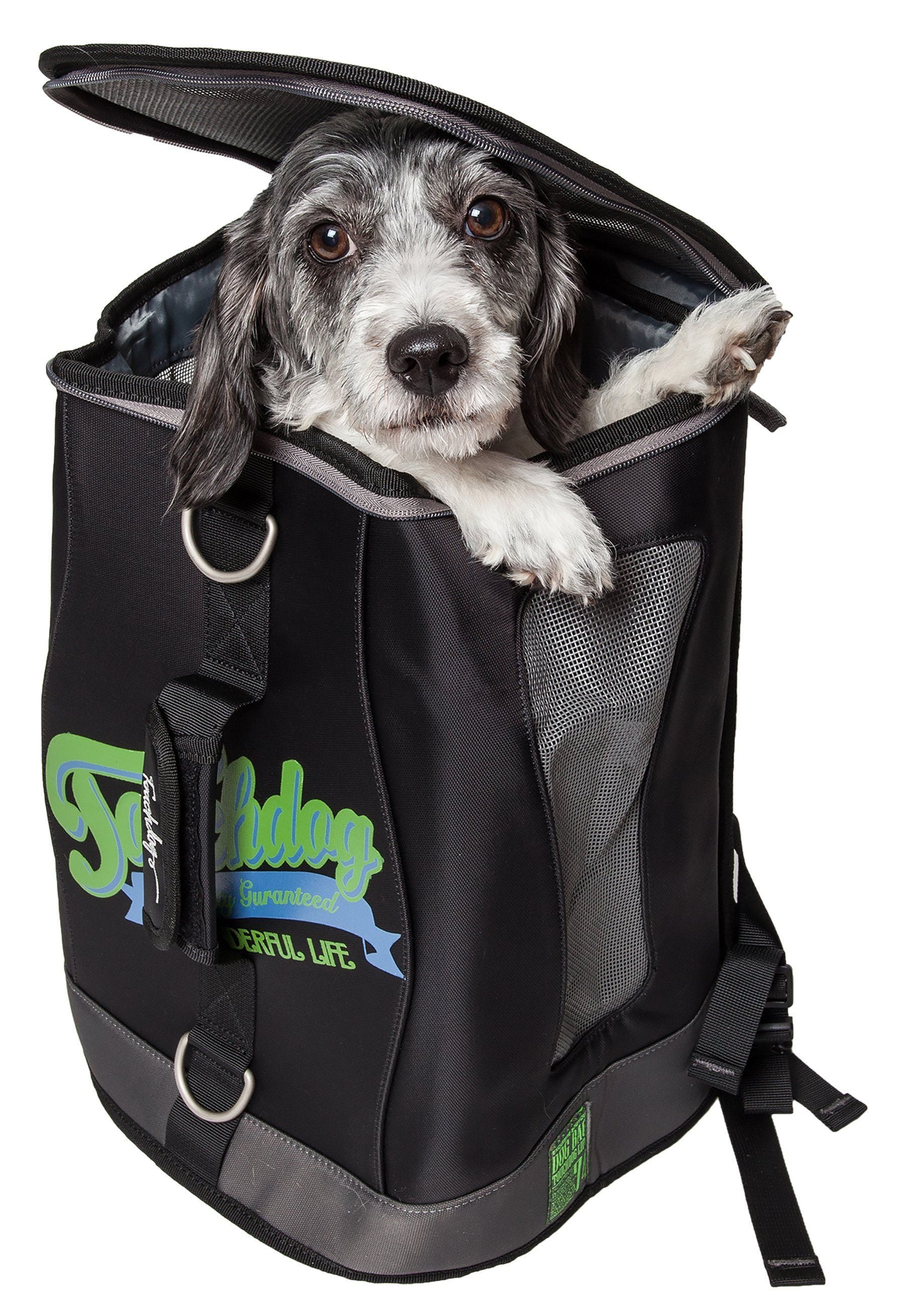 Black dog carrier backpack with mesh side opening, dog resting inside, adjustable front straps