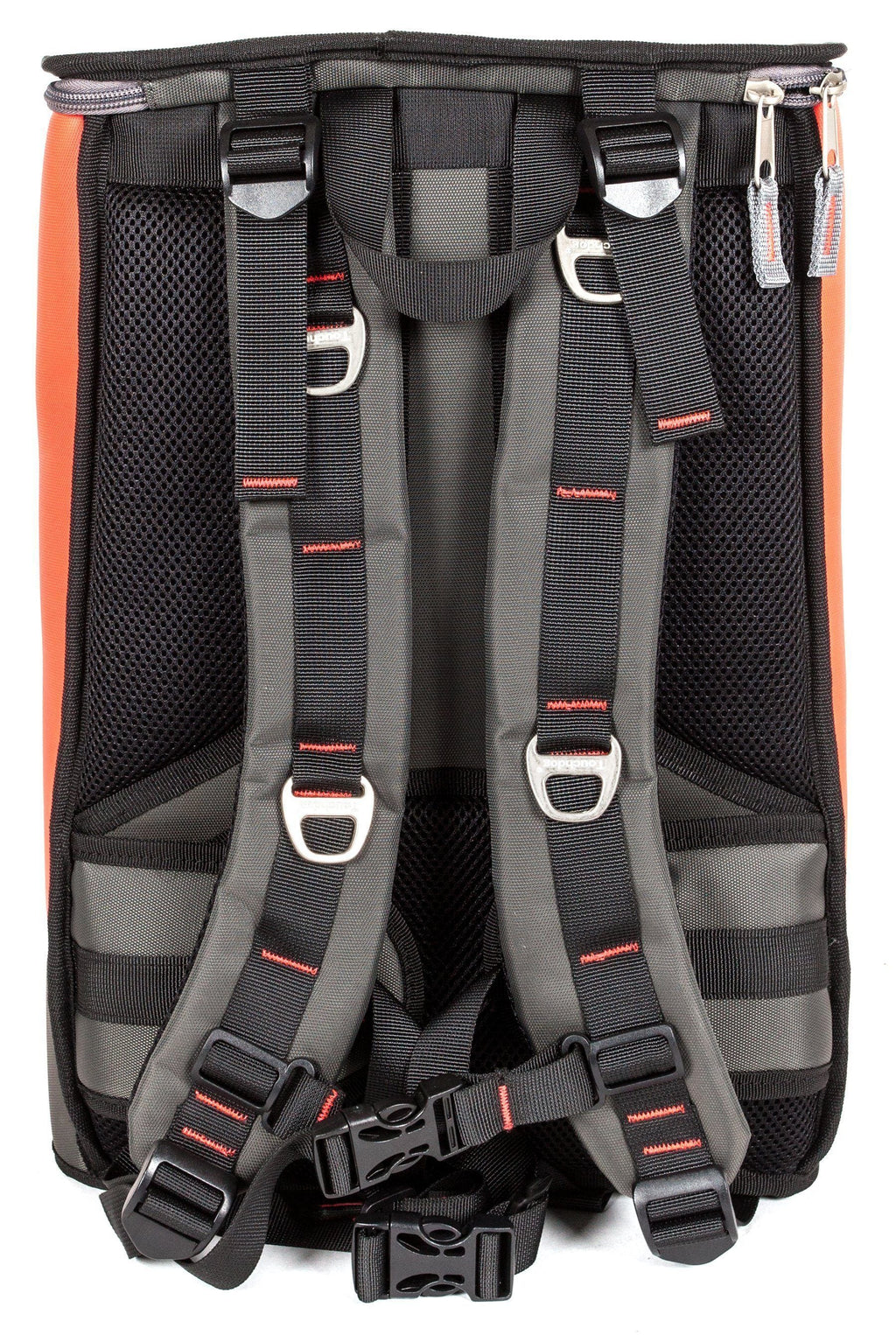 Cantaloupe orange dog carrier backpack interior with padded harness straps and buckles
