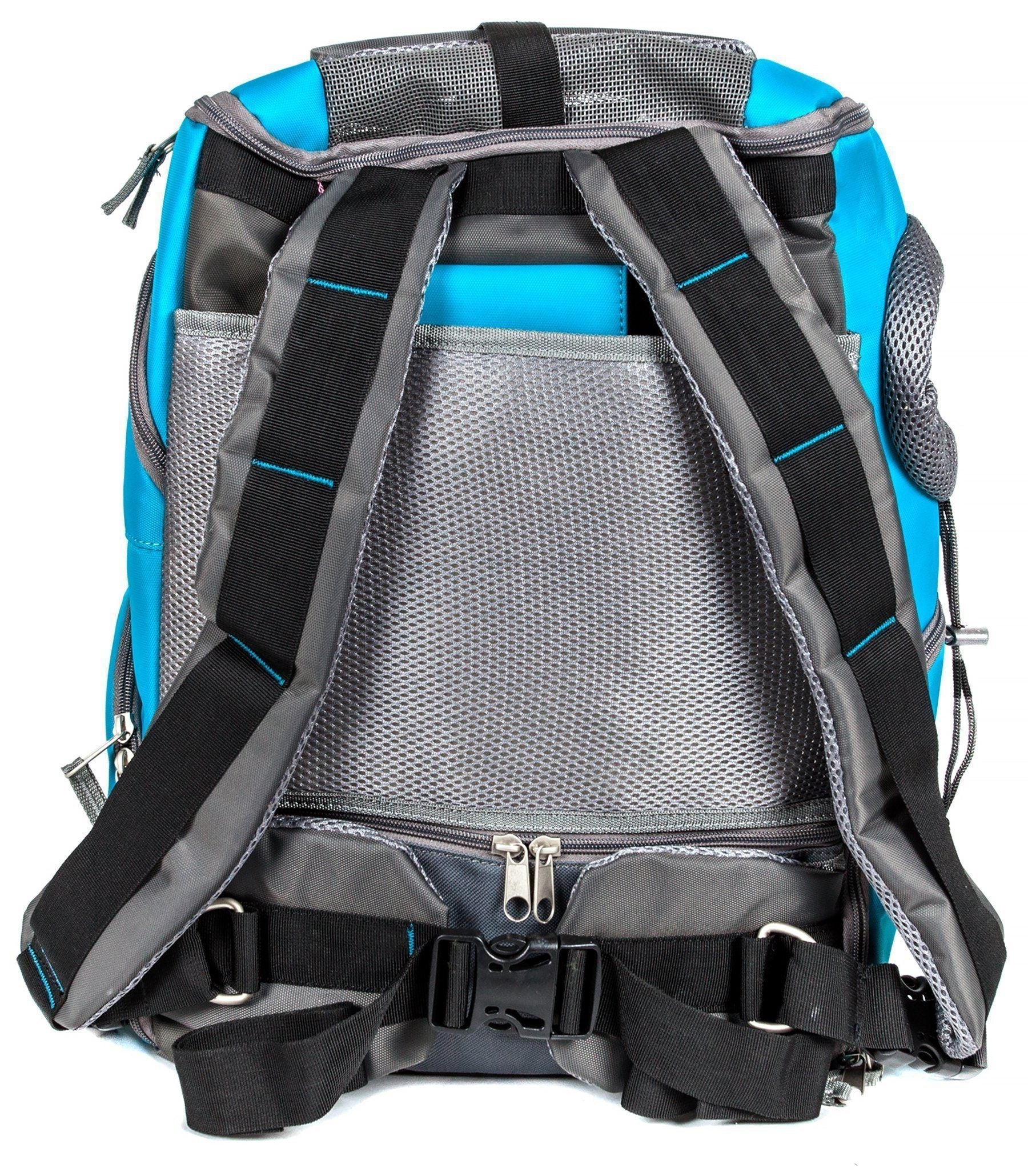 Blue pet carrier backpack interior back panel with padded straps and adjustable webbing
