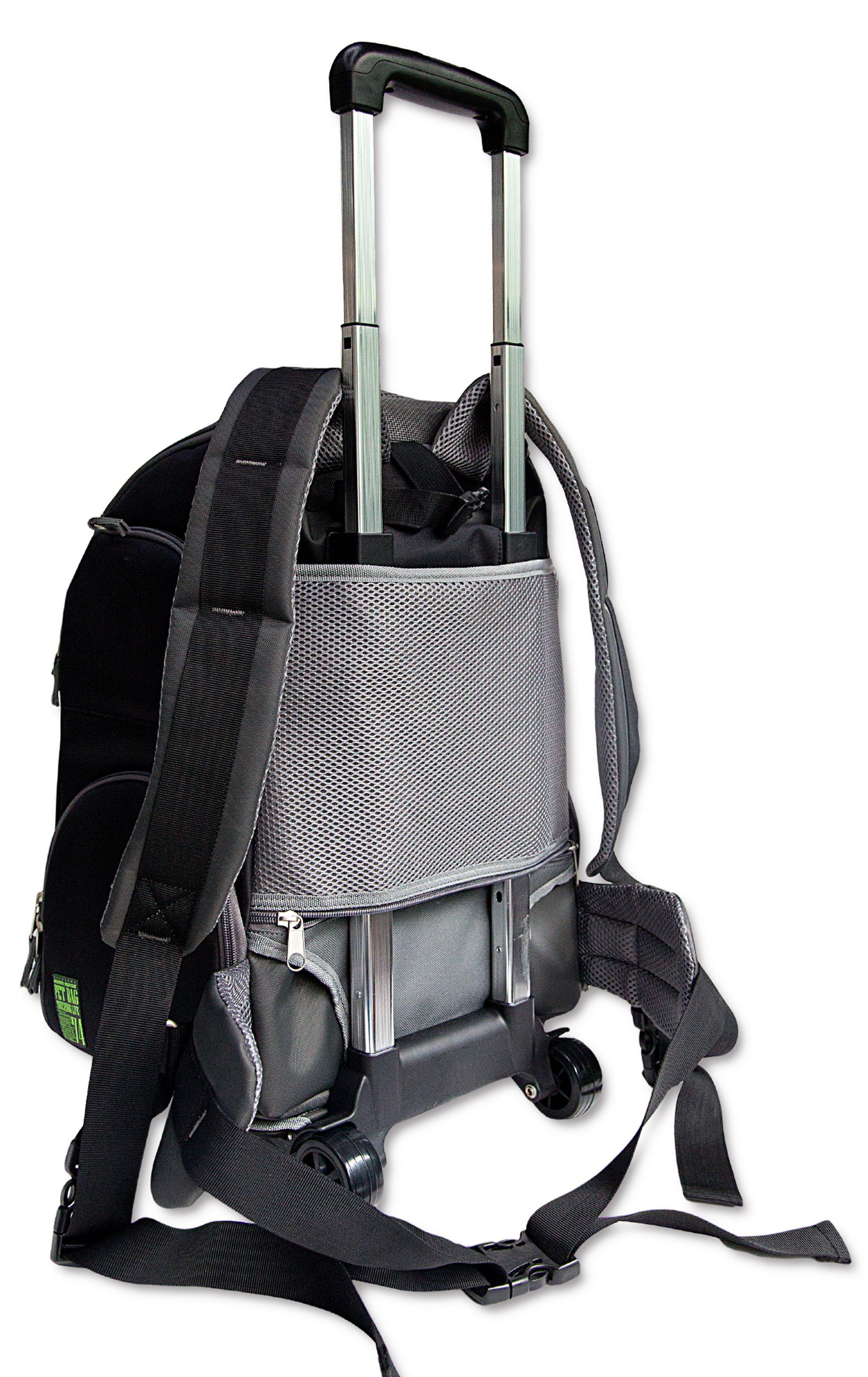 2-in-1 wheeled pet backpack carrier with front mesh panel and black fabric