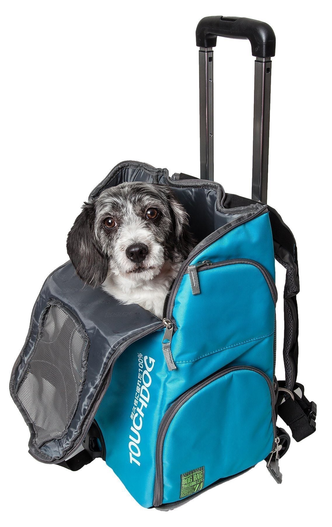 Blue wheeled pet carrier backpack with front mesh panel and zip door, dog inside