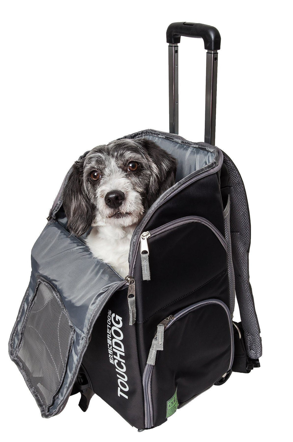 Black pet carrier backpack with front mesh panel and zip opening, dog facing forward