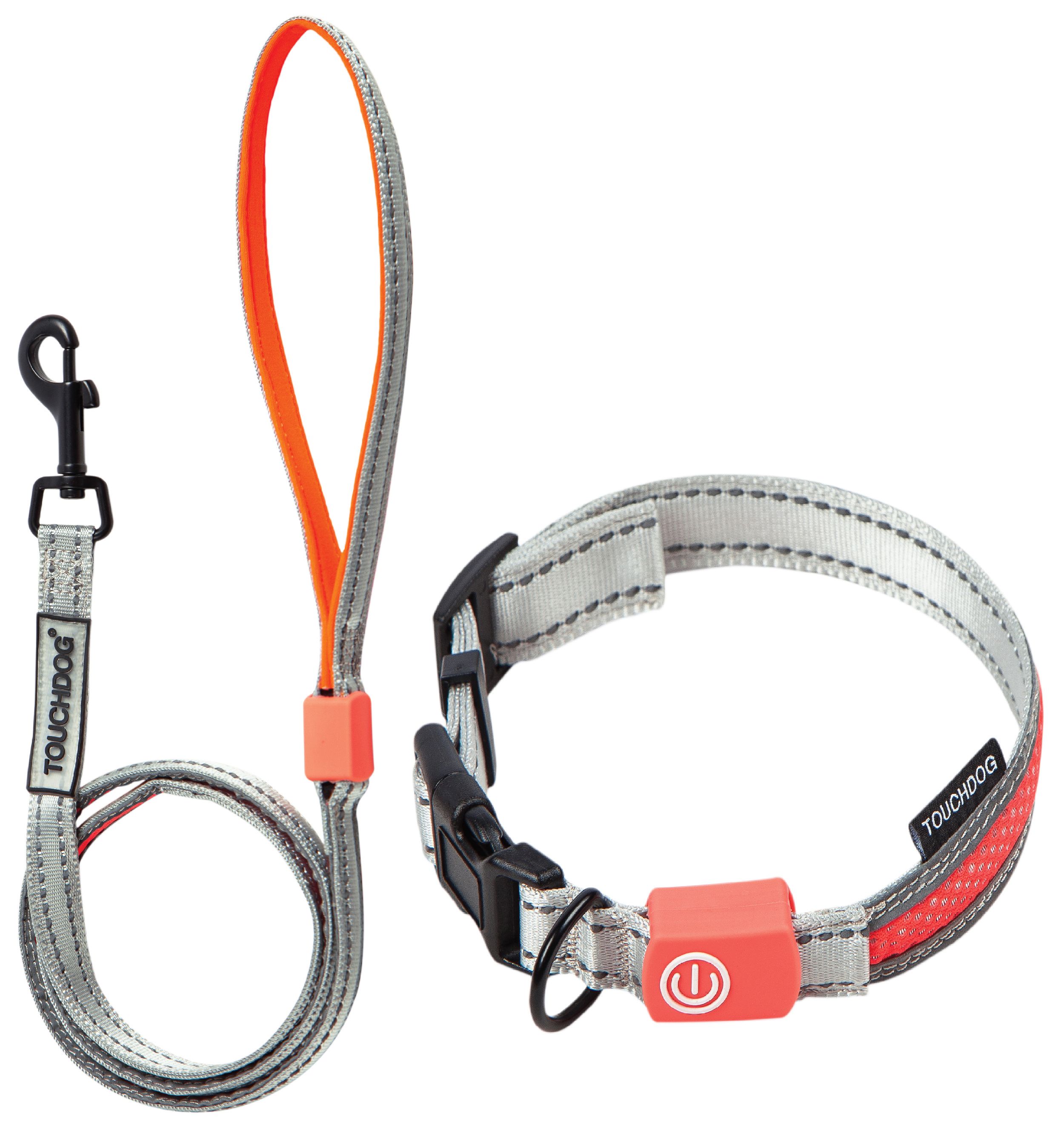 Gray LED dog leash and collar set with orange glowing strap and orange power module