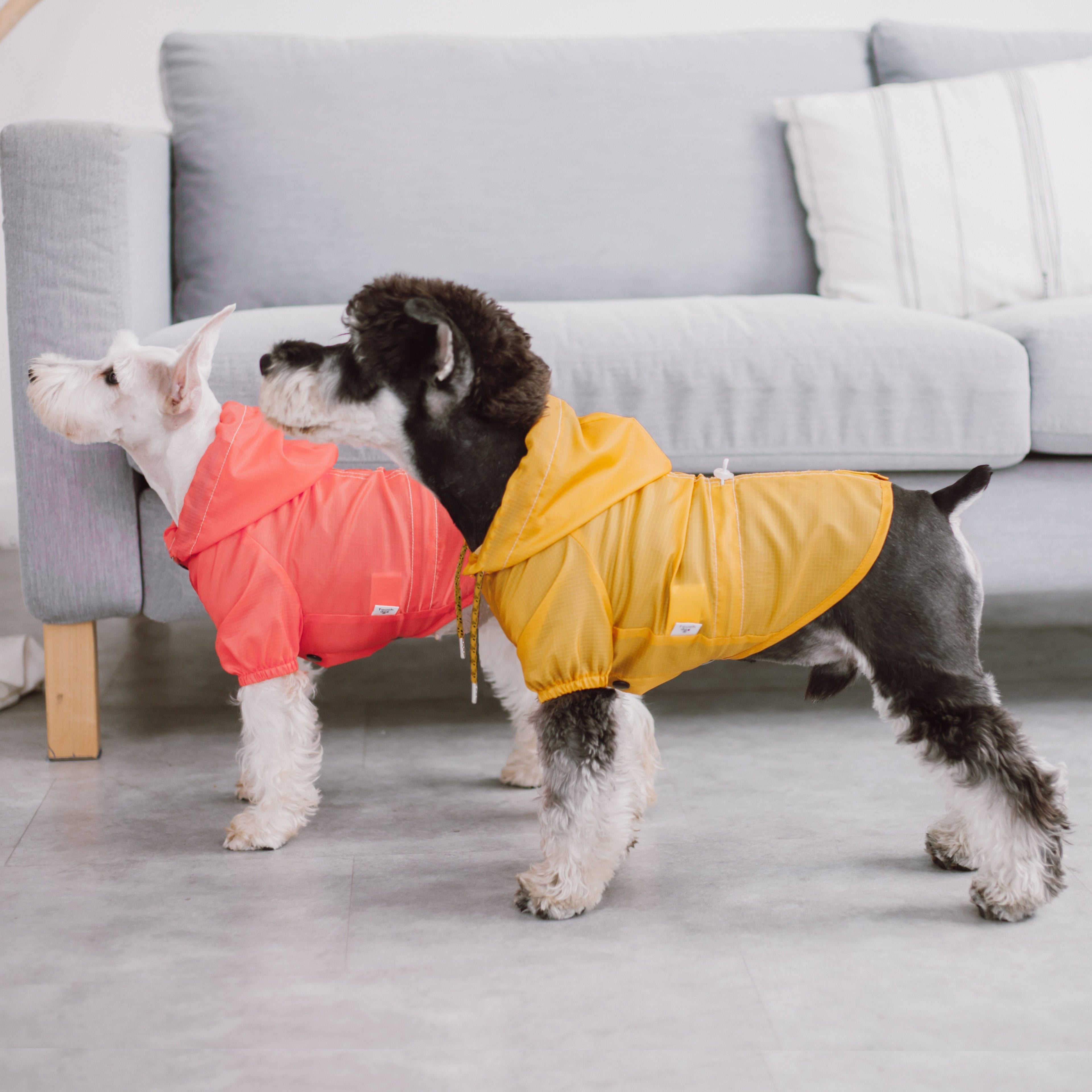 Coral and yellow waterproof dog raincoats with hood, snap front, and split-vent back
