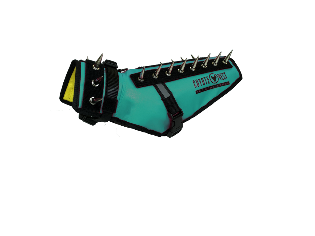 Turquoise spiked dog safety vest with black strap closure and metal prongs