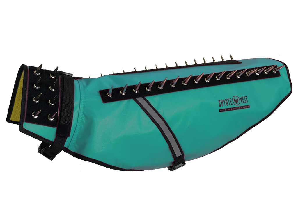 Turquoise spiked dog harness vest with metal D-rings, side belt and adjustable buckles