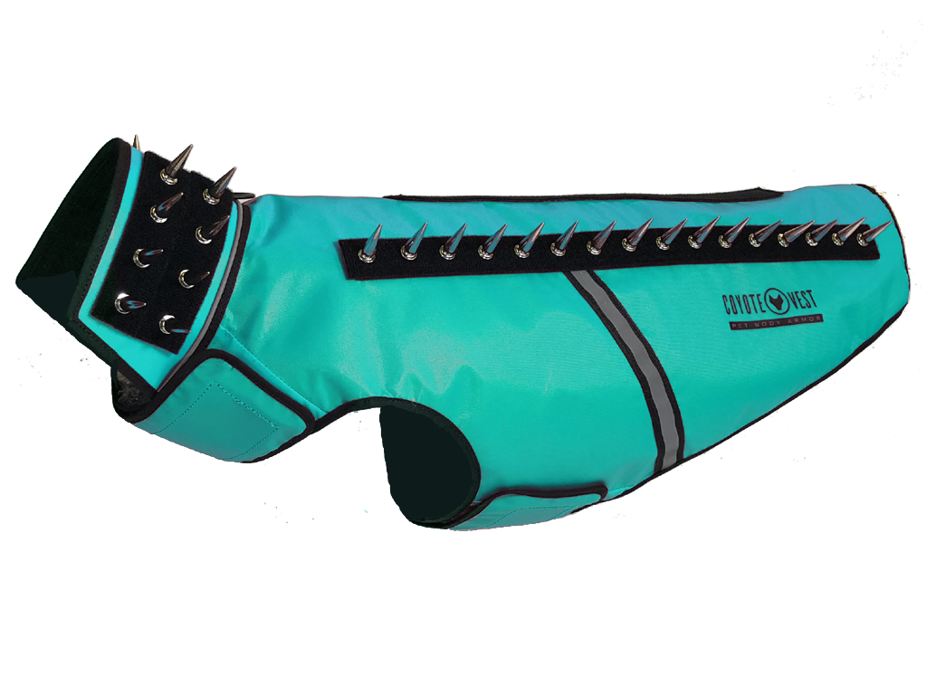 SpikeVest dog vest in teal with black spike collar and metal studs, black trim