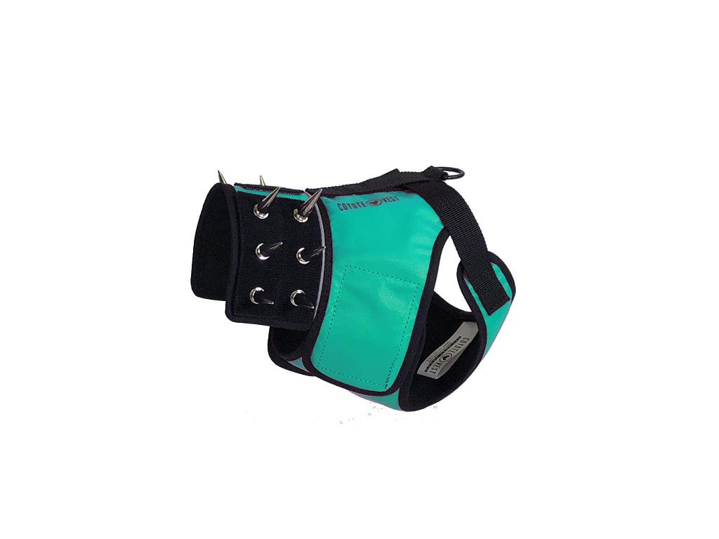 Dog harness with black base and turquoise padded front panel, metal ring snaps