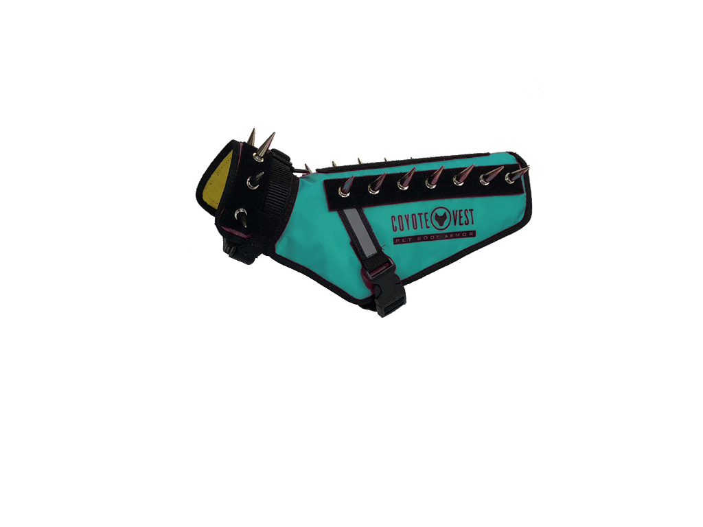 Turquoise pet vest with black spikes, front strap and D-ring leash clip