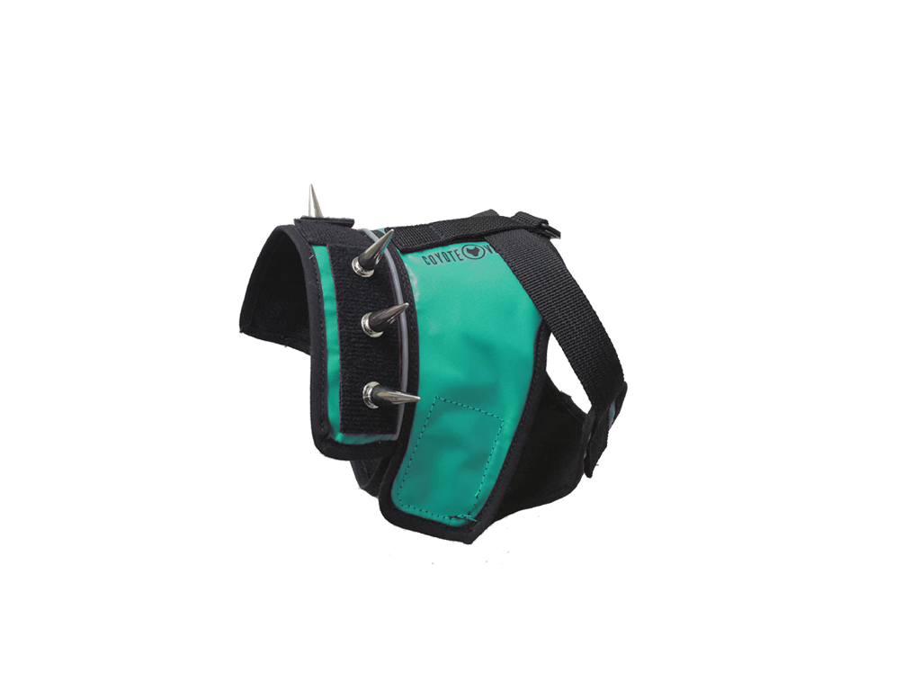 Turquoise panel harness with metal grommets and adjustable side strap