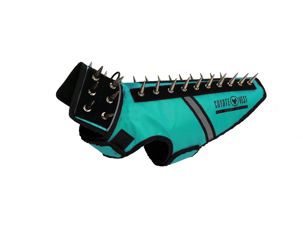 SpikeVest dog vest in turquoise with black spike collar and metal studs, black trim