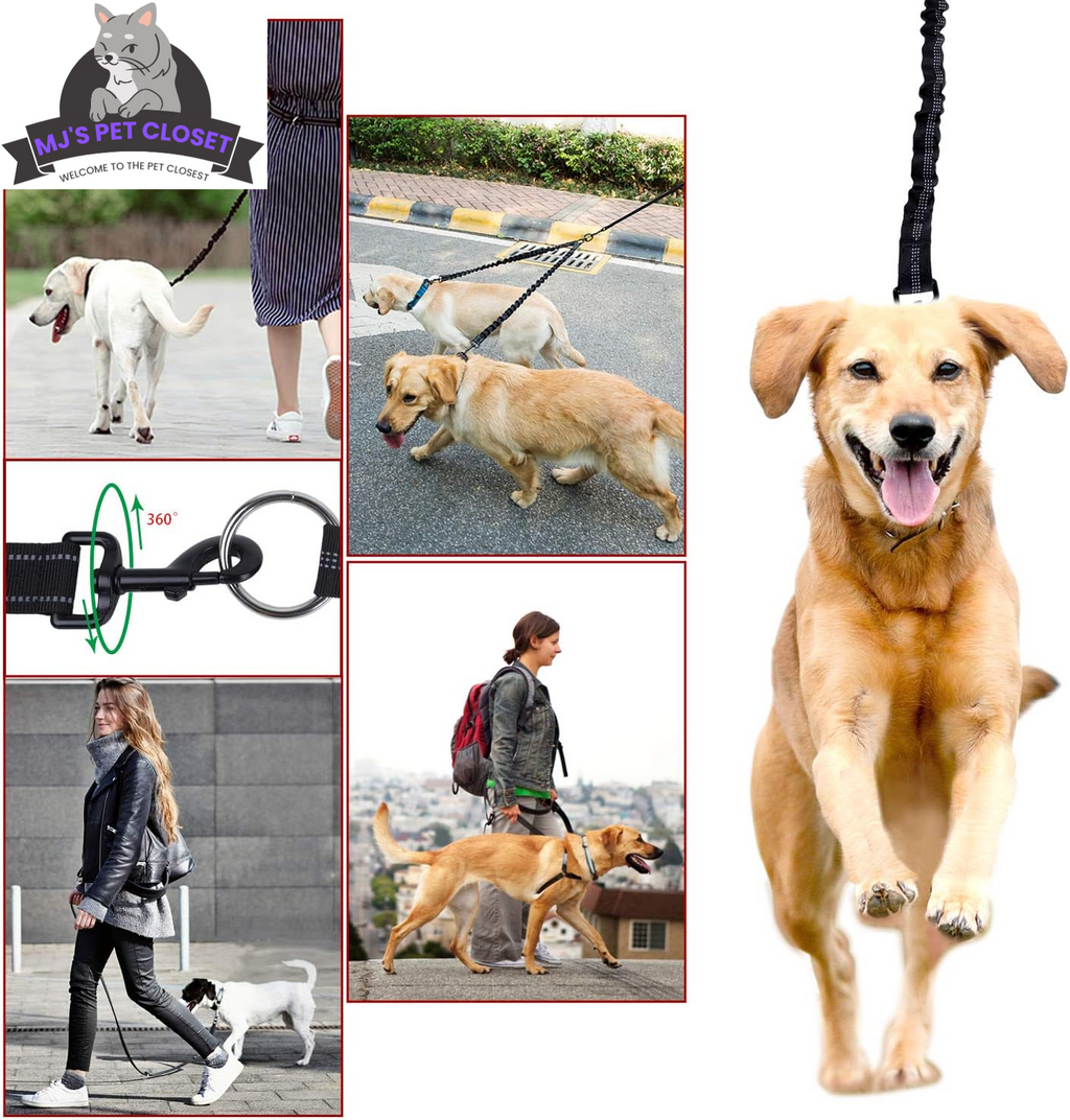 360° swivel double dog leash with two leashes and metal clasp ends for easy turn
