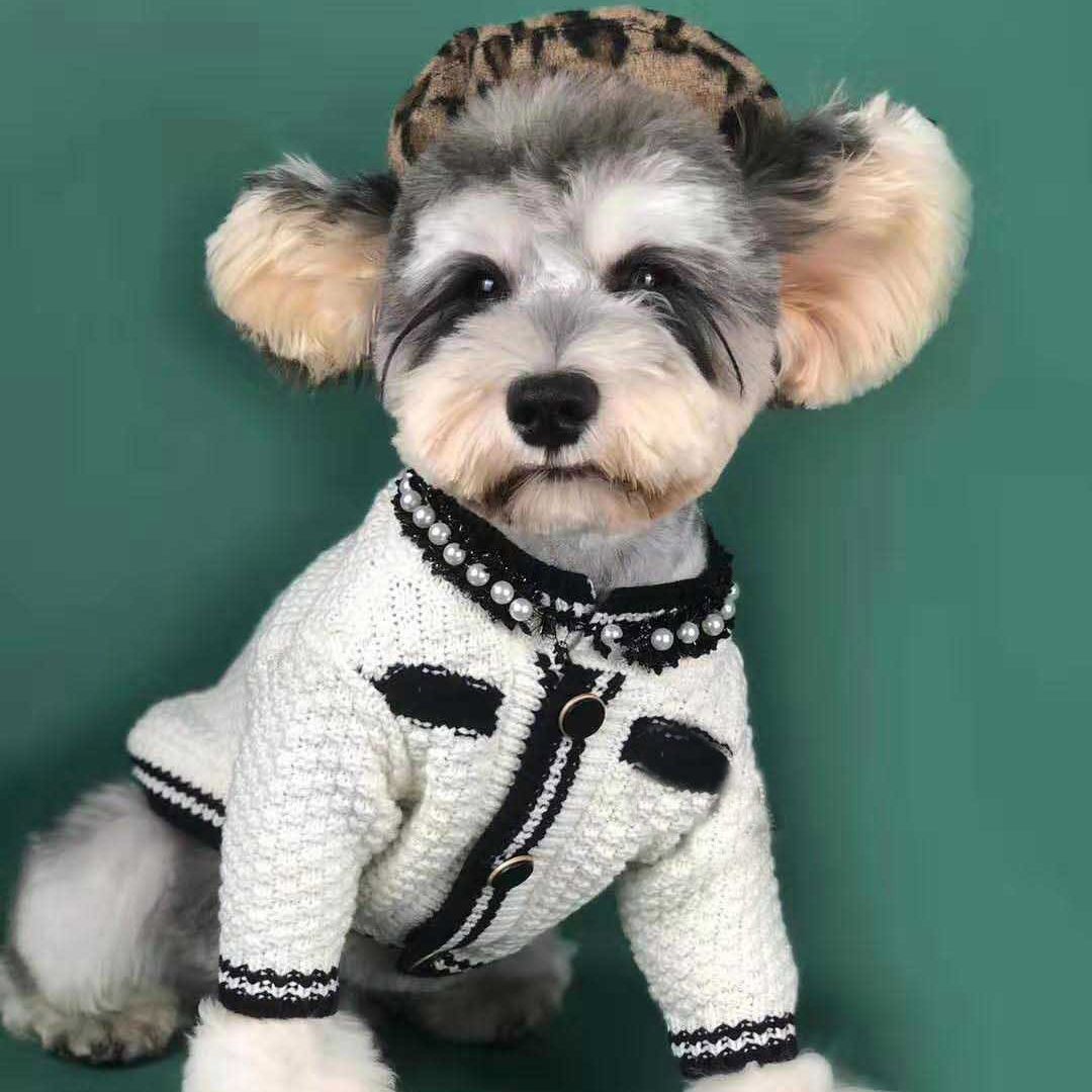 Pet knit cardigan sweater in white with black trim and pearl buttons
