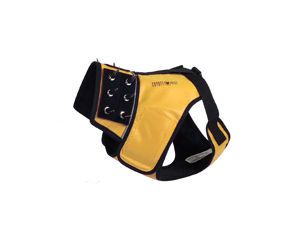 Dog harness with black base and yellow padded front panel, metal ring snaps